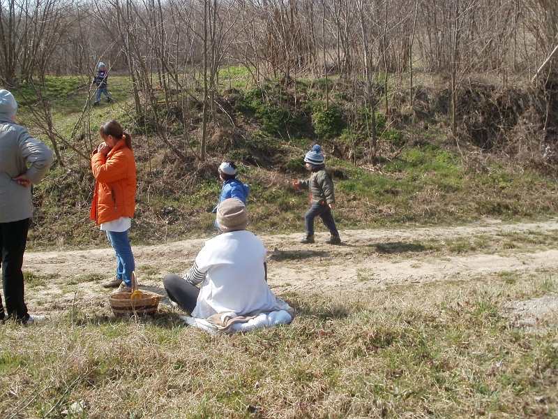 P3172269.JPG