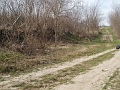 P3172261