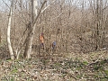 P3172264