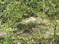 P6052472