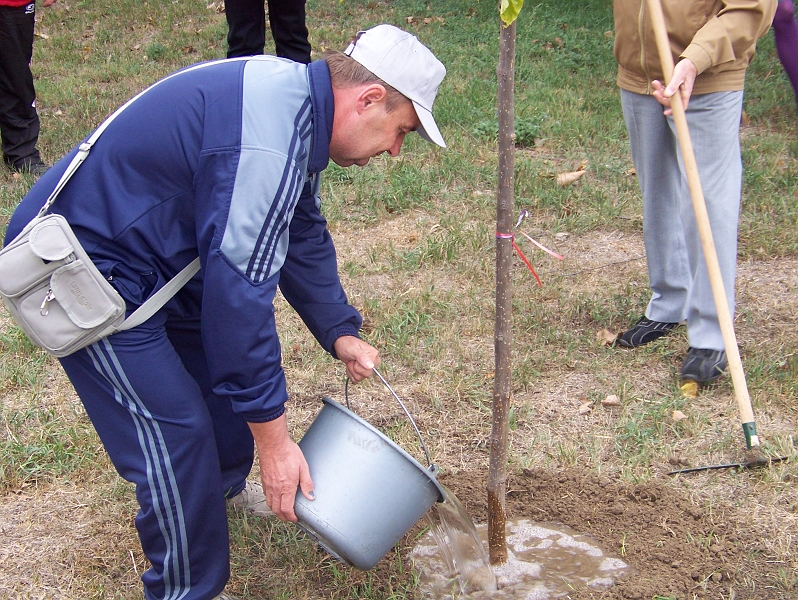 100_4888.jpg
