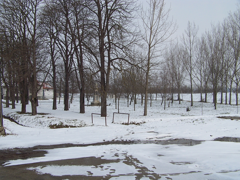 100_6702.jpg