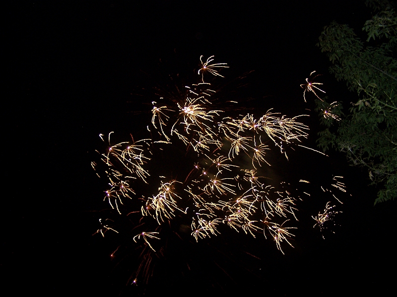 100_9655.jpg