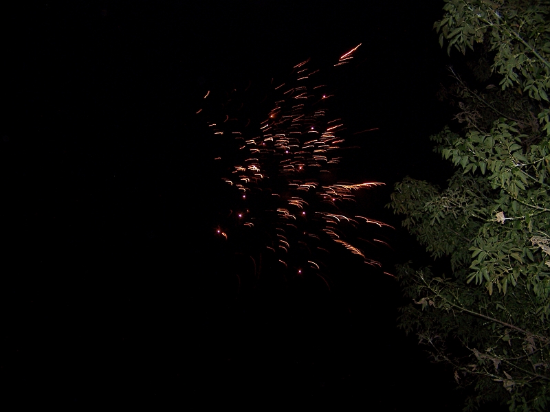 100_9658.jpg