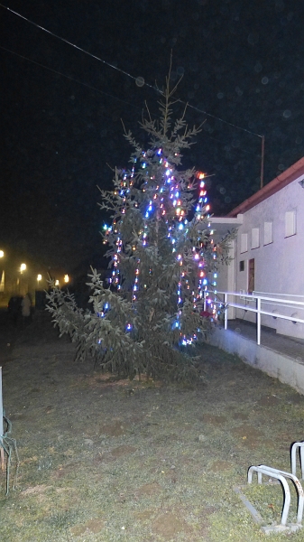 P1040815.JPG
