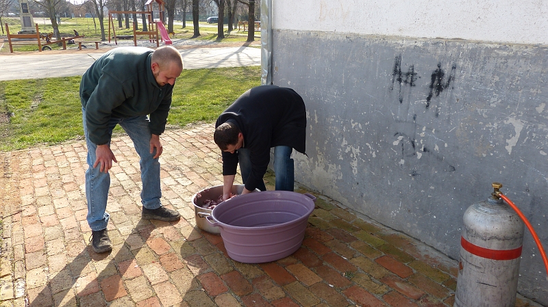 P1050404.JPG