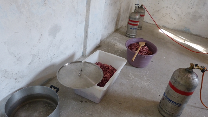 P1050415.JPG