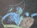 DSCF5536