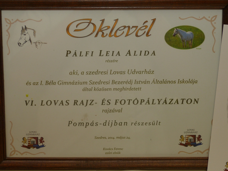P1330318.JPG