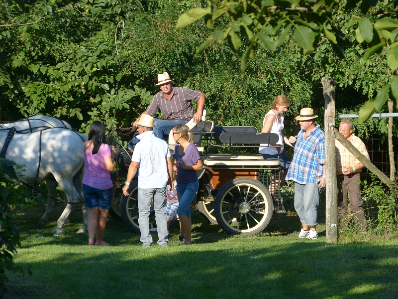 P1330531.JPG