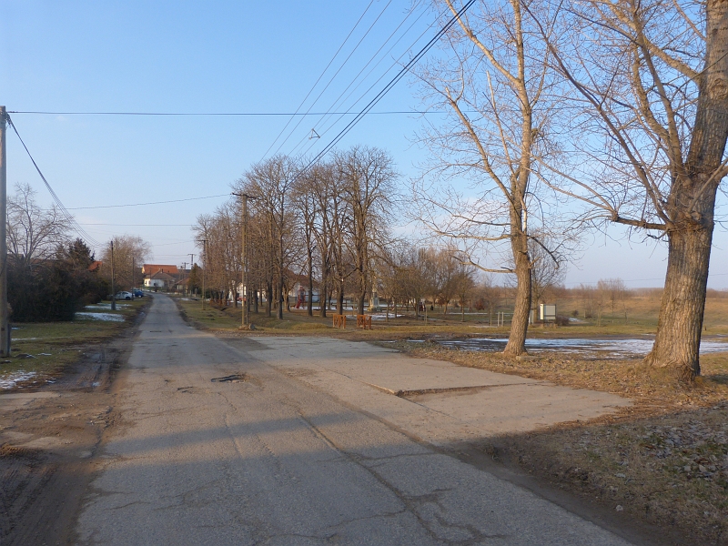 P1350636.JPG