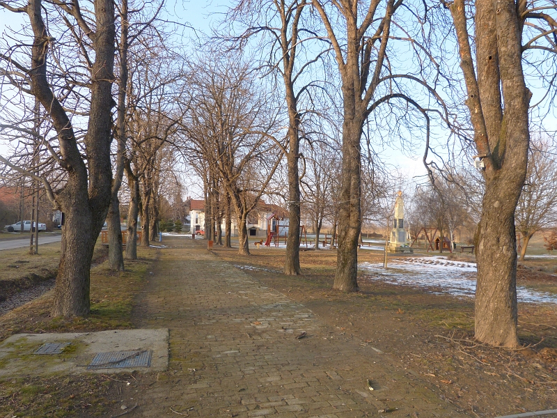 P1350637.JPG