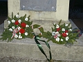 P1350898
