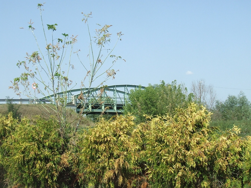 DSCF0111.JPG
