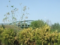 DSCF0111