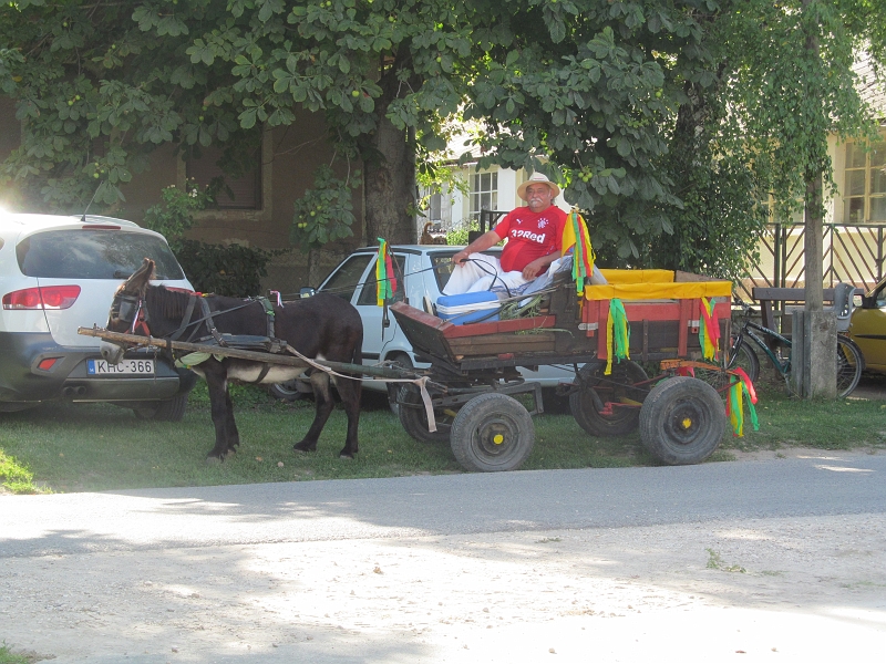 IMG_7627.JPG