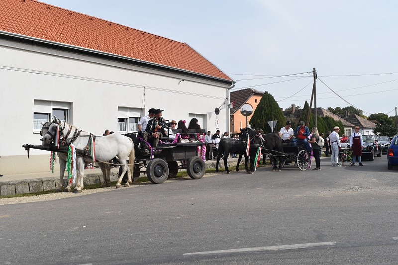 DSC_0005.JPG