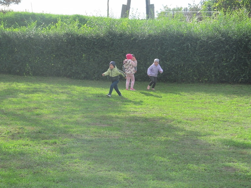 IMG_8826.JPG
